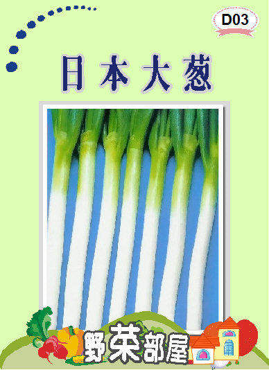 【野菜部屋~】D03 日本十國大蔥種子0.8公克 , 蔥的極品 , 每包15元~