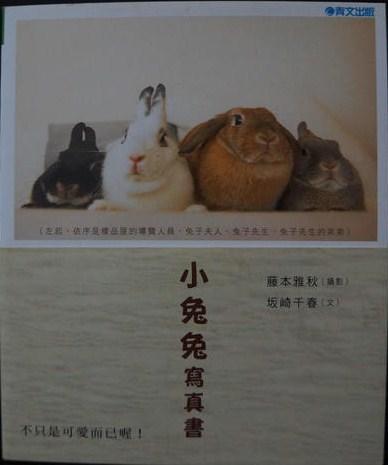 (全新書籍)     小兔兔寫真書