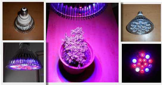 【光力能LED植物燈坊】新型二代鑽石款30W聚光型PAR燈 9紅3藍全光譜觀葉植物生長補光燈