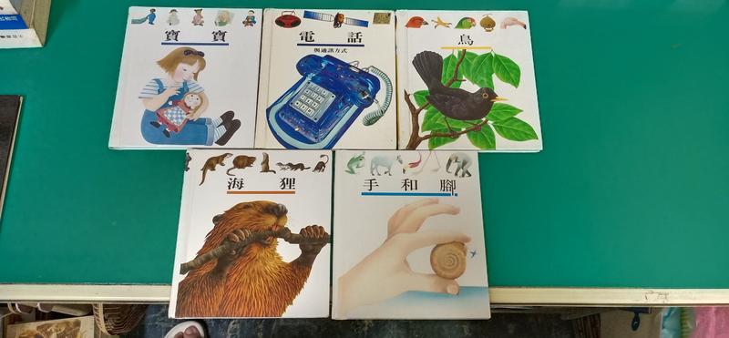 5本合售 童書繪本 理科出版社 第一個發現 電話 寶寶 鳥 海狸 手和腳 無劃記 E84