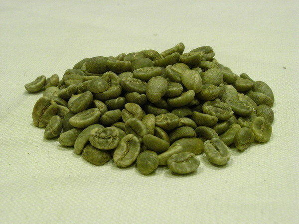 【YA咖啡】哥倫比亞 雪峰  咖啡生豆 【100g 45元】 【1公斤420元】