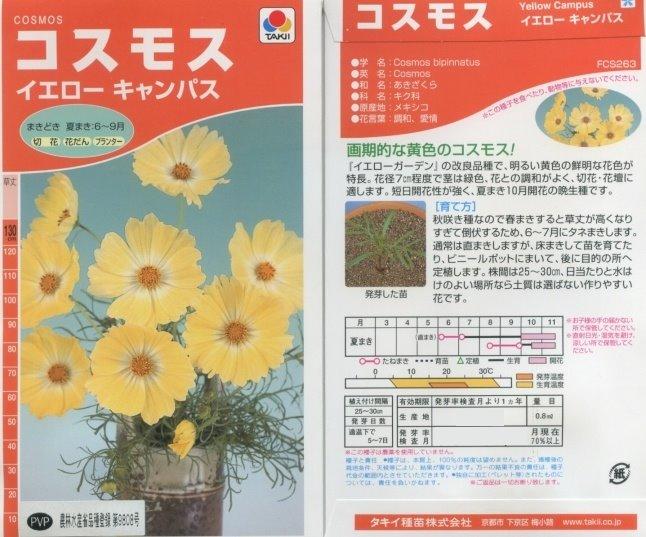 【花之鄉小舖】進口高級日本花卉種子--大波斯菊 校園-黃