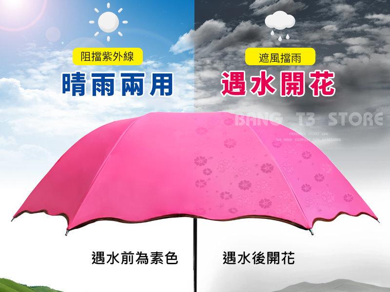 BANG◎遇水開花傘 晴雨兩用 荷葉邊設計 遮陽 加厚黑膠傘 抗UV 雨傘 【H51】
