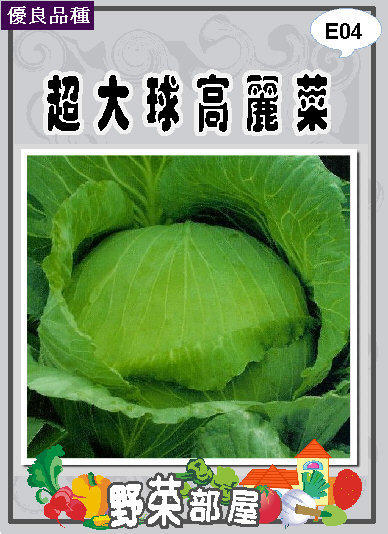 【野菜部屋~】E04 日本超大球高麗菜種子0.35公克 , 口味佳 , 每包15元 ~