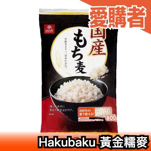 【大容量】日本國產 Hakubaku 黃金糯麥 米飯 800g 糯麥米 蕎麥飯 五穀 燕麥 大麥 雜糧 食物纖【愛購者】