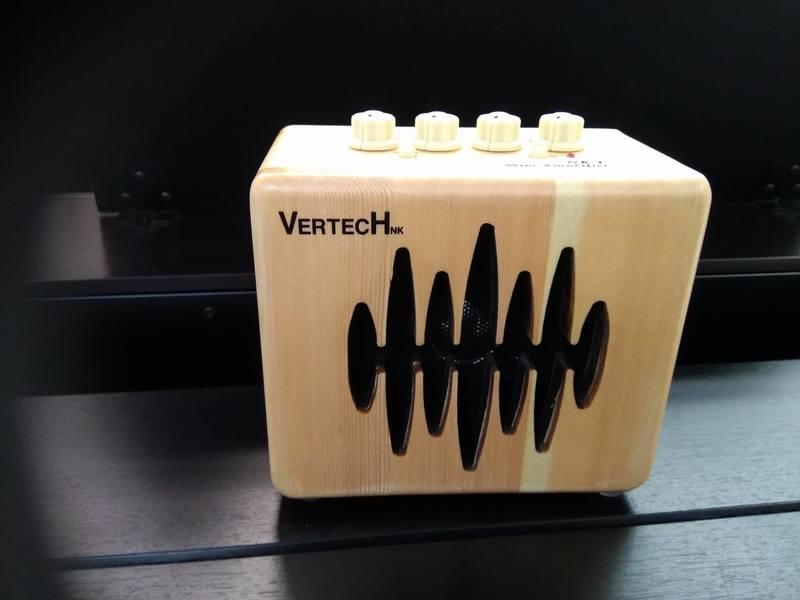 【金聲樂器】VERTECH NK-1 電吉他 音箱 (便攜式小音箱)(木質外殼)