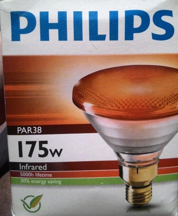 Philips par38 ir red 175w 紅外線燈泡溫熱燈泡 寵物保溫燈 中醫診所用 110V 220V