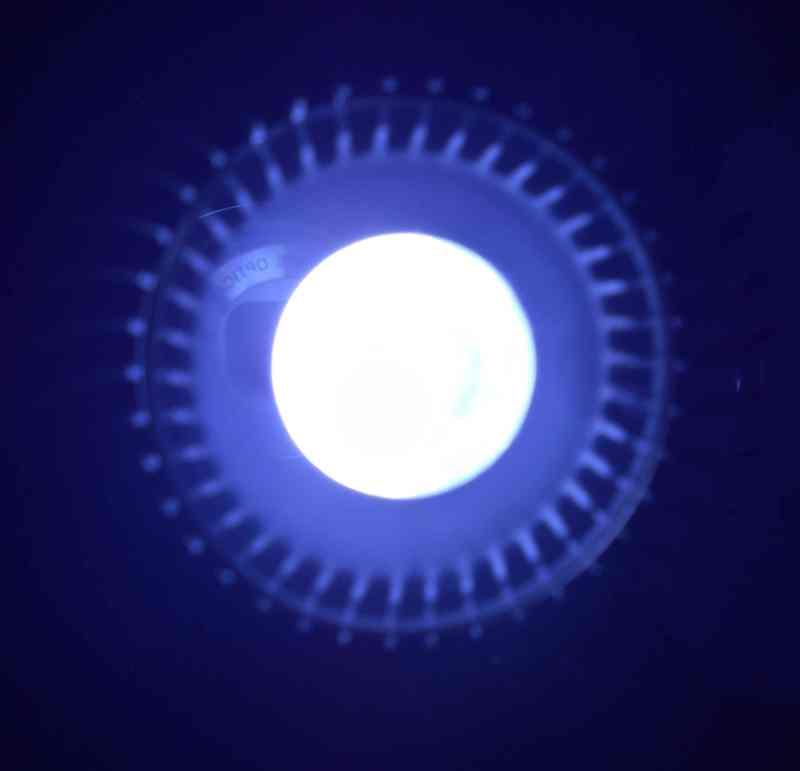 【光力能LED植物燈坊】聚光型3W大功率LED超冷白光20000~25000k小魚缸照明燈