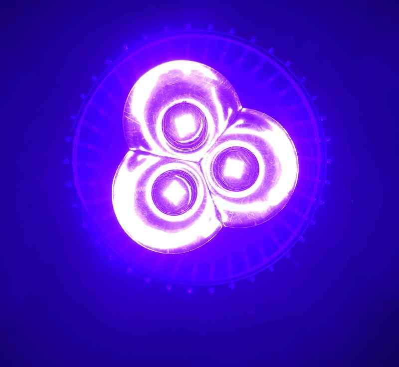 【光力能LED植物燈坊】聚光型5W大功率LED藍紫光420nm~430nm海水珊瑚螢光補光燈