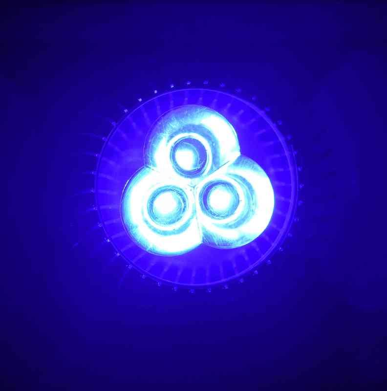 【光力能LED植物燈坊】聚光型5W大功率LED藍光450~460nm植物生長補光燈/海水缸補光燈
