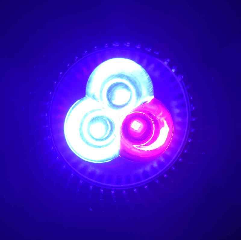 【光力能LED植物燈坊】E27螺口聚光型5W大功率LED植物生長1紅2藍補光燈