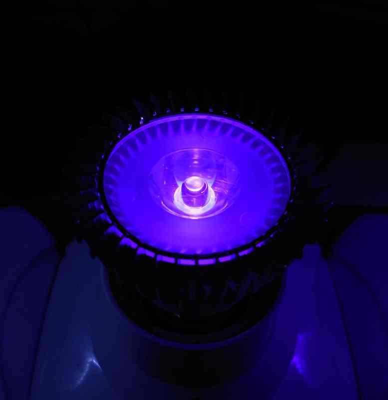 【光力能LED植物燈坊】聚光型3W大功率LED螢光UV紫395nm~400nm海水珊瑚缸螢光補光燈