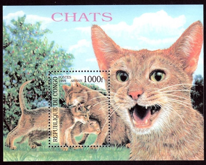 ★熊熊購物★剛果1999年 寵物貓 家貓 可愛貓咪 郵票小型張 全新  6