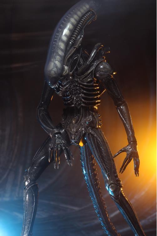 NECA Alien 異形40周年版Big Chap 1/4 22吋~2023/10月再版上市，預購中
