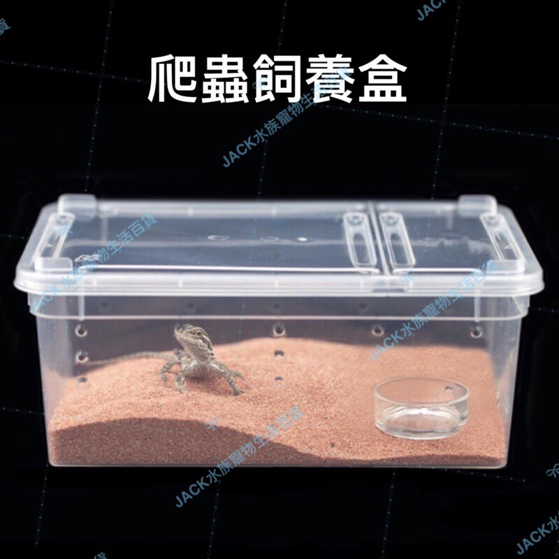 💯台灣現貨💯爬蟲飼養盒 爬蟲飼養箱 角蛙盒 烏龜盒 爬蟲飼養盒 烏龜爬蟲箱 烏龜飼養箱