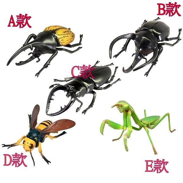 T-ARTS 轉蛋 昆蟲之森 甲蟲軍團 昆蟲之森G 螳螂 蜜蜂 獨角仙 可動 單款 或 全套