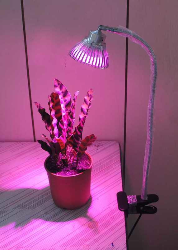 【光力能LED植物燈坊】PAR燈18w多功能軟管夾子LED全光譜植物生長射燈 莖葉 花卉 水草 蔬菜育苗等