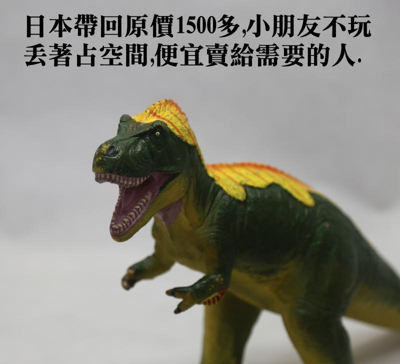 【人生に、野遊びを】直購450 日本 超軟式 塑料恐龍模型 大型兒童玩具 動物模型 超大型恐龍 超軟無毒材質