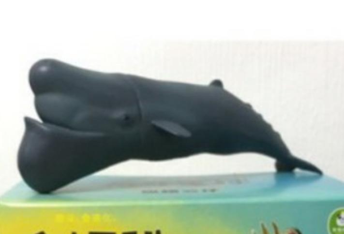 全家現貨第一波戽斗星球磁鐵單售鯨魚