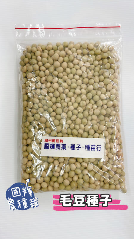 【國輝農種栽】"毛豆"種子，600公克300元（分包裝），一代交配品種，春夏秋適播種（蔬菜種子）