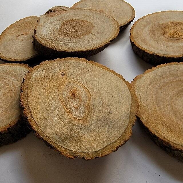 已缺貨勿下單 佳樺高檔天然香味帶皮樟木片L67帶樹皮香樟木 樟木底座圓切片香樟 樟木片 原木片 實木杯墊展示座餐桌墊 | 露天市集 | 全台最 ...