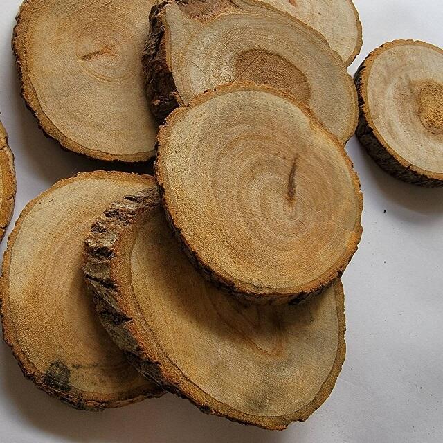 已缺貨勿下單 佳樺高檔天然香味帶皮樟木片L67帶樹皮香樟木 樟木底座圓切片香樟 樟木片 原木片 實木杯墊展示座餐桌墊 | 露天市集 | 全台最 ...