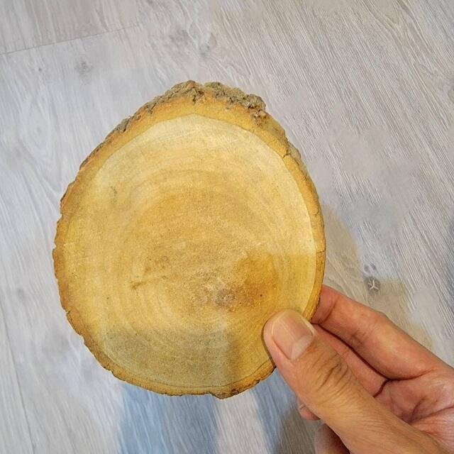 已缺貨勿下單 佳樺高檔天然香味帶皮樟木片L67帶樹皮香樟木 樟木底座圓切片香樟 樟木片 原木片 實木杯墊展示座餐桌墊 | 露天市集 | 全台最 ...