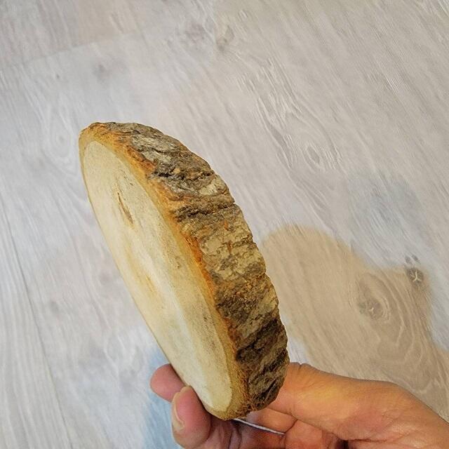 已缺貨勿下單 佳樺高檔天然香味帶皮樟木片L67帶樹皮香樟木 樟木底座圓切片香樟 樟木片 原木片 實木杯墊展示座餐桌墊 | 露天市集 | 全台最 ...
