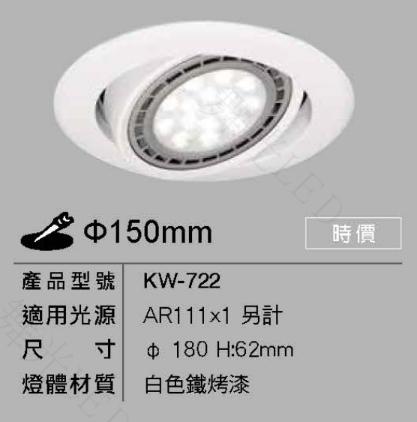 新莊好商量~舞光 LED 9W 崁燈 AR111光源 15CM 搖擺崁燈 投射燈 可換燈泡 嵌燈 可調角度 可換光源