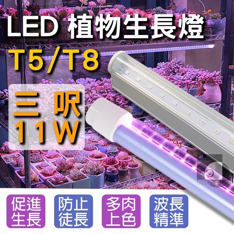 【四方圓照明工廠】LED T5/T8 植物燈 3尺 90公分 全光譜 紅多 藍多 陽光 多肉育苗增豔上色 含UVIR