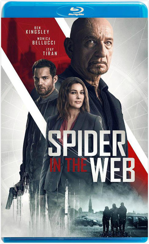 網中蛛 / 網中蜘蛛 / SPIDER IN THE WEB （2019）