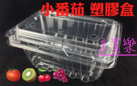台灣製 10入 小番茄 塑膠盒 水果 櫻桃 聖女番茄 塑膠餐盒 餐盒 草莓 擺攤 販售 園遊會