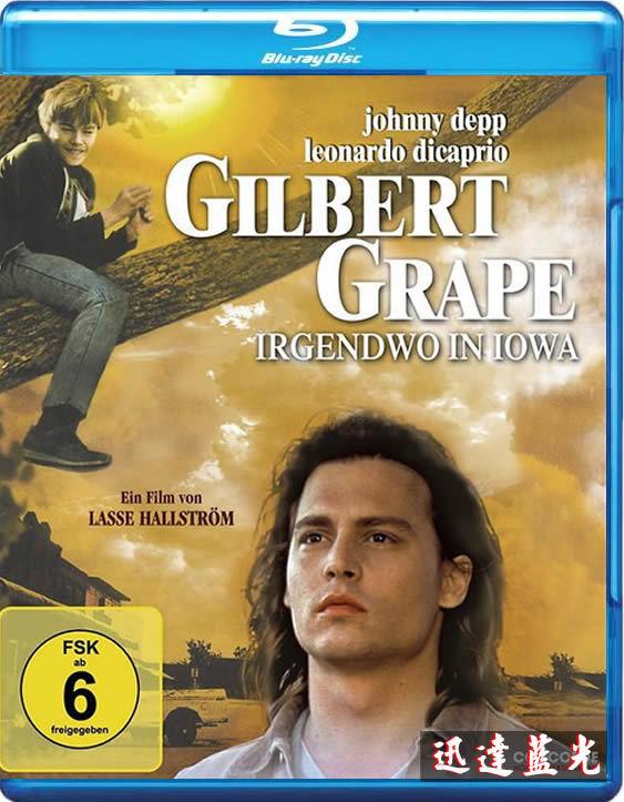 BD-5991不一樣的天空/戀戀情深What's Eating Gilbert Grape(1993)
