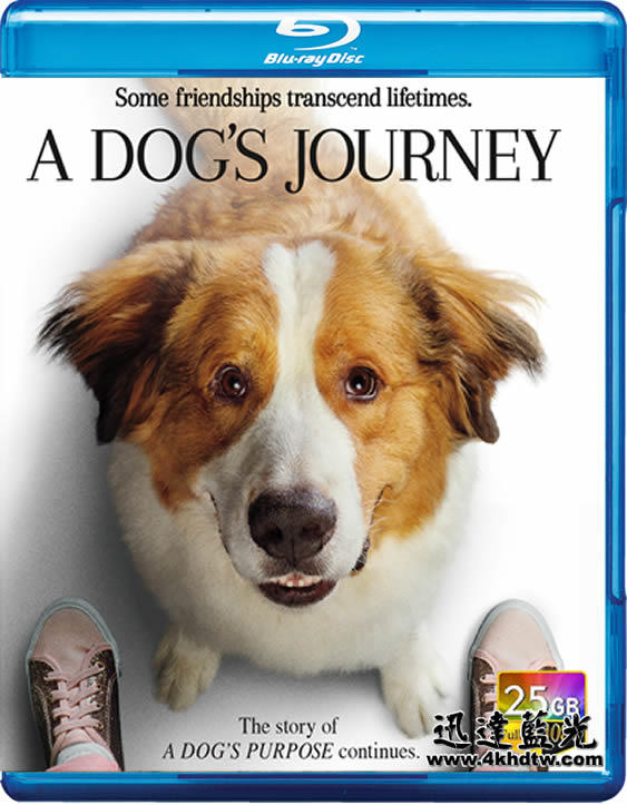 BD-12587狗狗的旅程/一條狗的使命2 A Dog's Journey (2019)