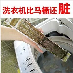 滾筒洗衣機 直立式洗衣機 清洗劑殺菌消毒 全自動清理內筒槽清潔強力去汙除垢