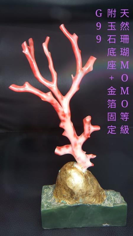[上海 沅宬 精選] MOMO珊瑚座 珊瑚石座-G99