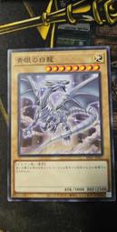 遊戲王單卡MVPI-JP002 青眼白龍CoCo壱番屋限定特典卡(全新未開封