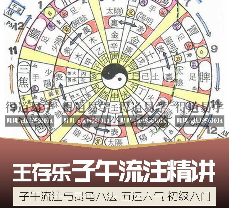 王存樂博士《子午流注精講、五運六氣講座9集》《古法针灸子流注16集》視頻電子檔《靈龜八法、開穴針……等26件》資料| 露天市集