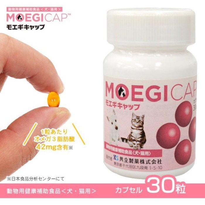 >幸福貓棧<免運 日本共立製藥 貝節益30粒罐裝膠囊 寵物犬貓關節