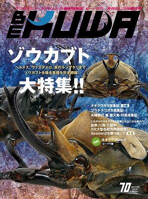 代購> 日本Bekuwa 甲蟲雜誌No.70 象皮毛象大兜蟲獨角仙鍬形蟲全新