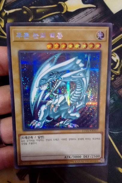 PSA10 青眼の白龍 15AX-KRY07 シークレット 韓国語 遊戯王 PSA10 青眼