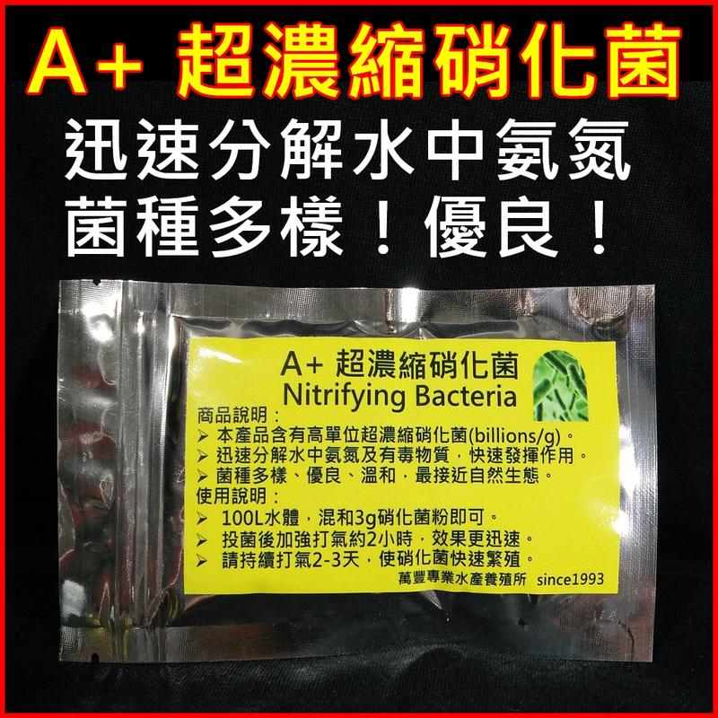 【萬豐水產】A+ 台灣製 超級硝化菌粉10億菌 硝化菌