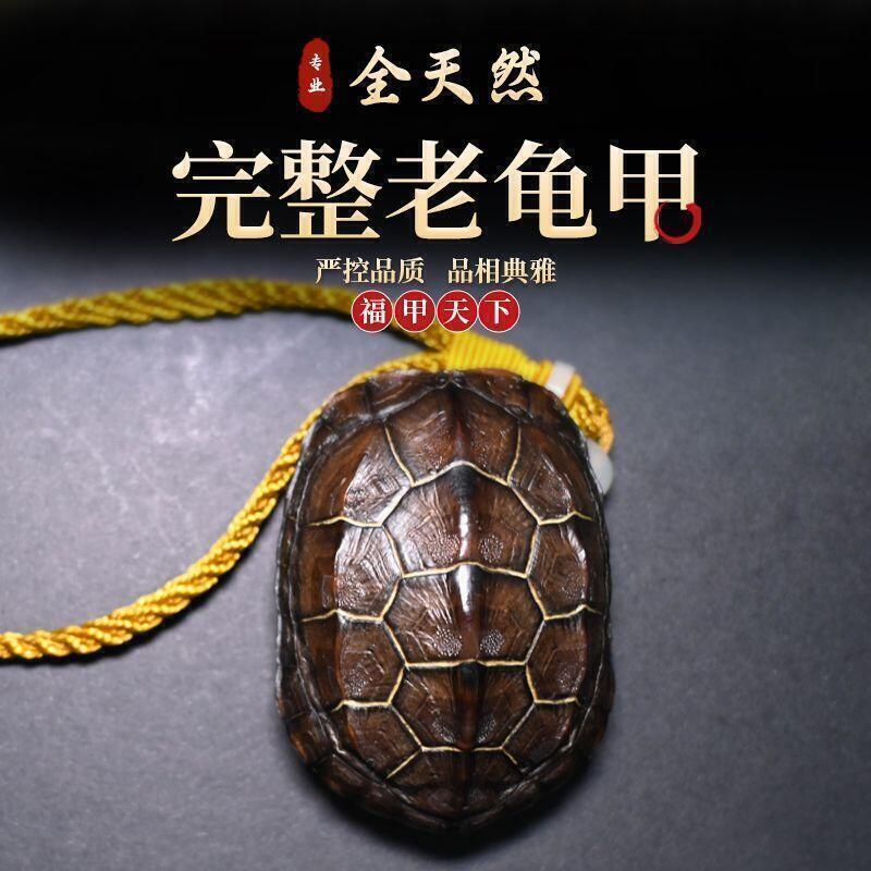 【小柒大賣場】全天然龜甲 文玩真龜殼 完整干凈 把玩 六爻搖卦  金錢龜殼手把件  露天市集  全臺最大的網路購物市集