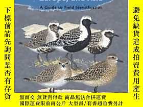 博民Shorebirds罕見Of North America, Europe, And Asia露天256260 Me 