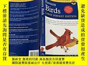 博民英文原版罕見Field Guide to Eastern Birds (Peterson Field Guides 