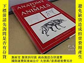 博民Anatomy罕見of Animals: Studies in the Forms of Mammals and 