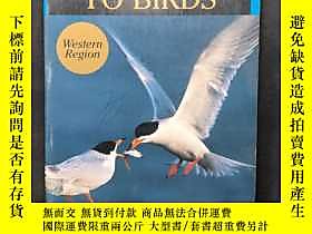 博民Stokes罕見Field Guide to Western Birds Western Region 斯托克斯西 