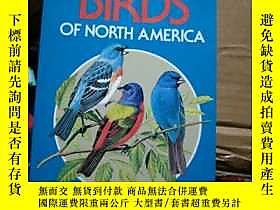 博民英文原版----BIRDS罕見OF NORTH AMERICA--A GUIDE FELD IDENTIFICAT 