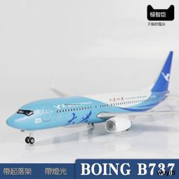 廈門787 - 人氣推薦- 2024年4月| 露天市集