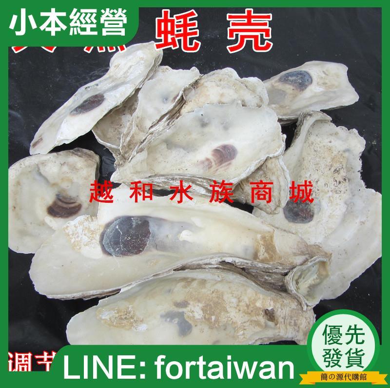 正品直銷】魚池天然過濾材料/蠔殼/牡蠣殼(錦鯉池專用濾材) 穩定PH值